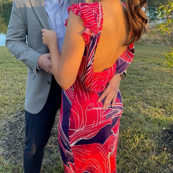 Conditions Apply Low-Back Bias Dress - Picture 5 of 5